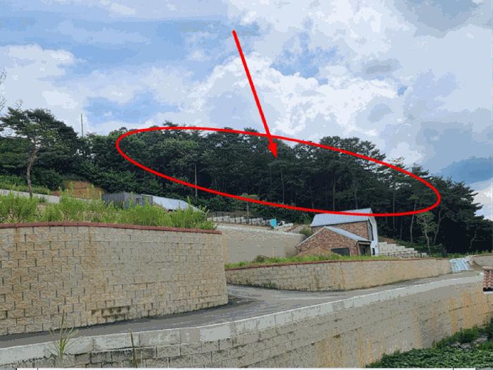 충청북도 제천시 송학면 도화리 산20-2 임야 경매 사진 5