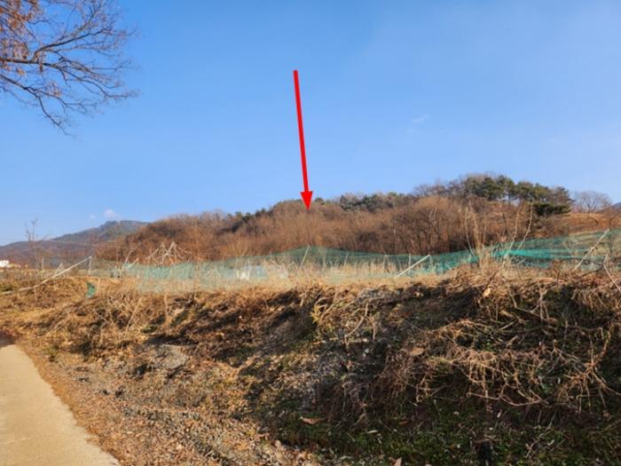 충북 충주시 임야