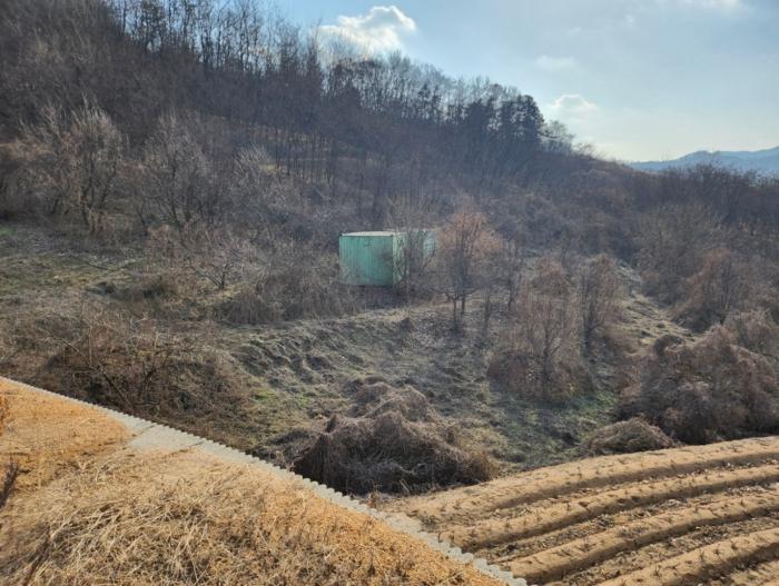 충청북도 충주시 호암동 산15-3 임야 경매 사진 13