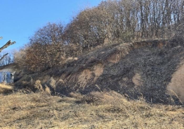 충청북도 충주시 호암동 산15-3 임야 경매 사진 28