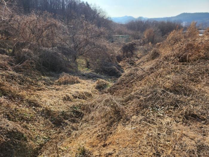 충청북도 충주시 호암동 산15-3 임야 경매 사진 3