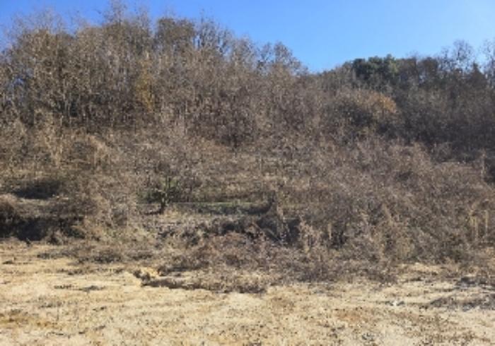 충청북도 충주시 호암동 산15-3 임야 경매 사진 30
