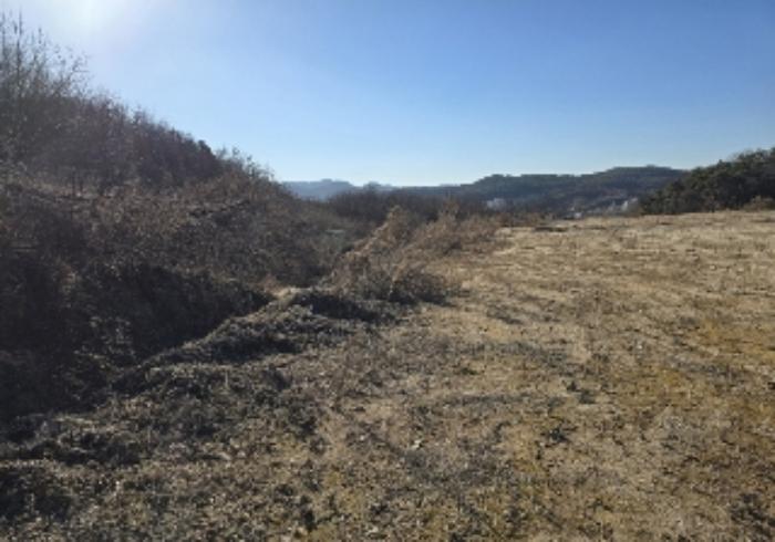 충청북도 충주시 호암동 산15-3 임야 경매 사진 32