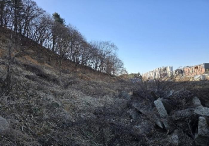 충청북도 충주시 호암동 산15-3 임야 경매 사진 36