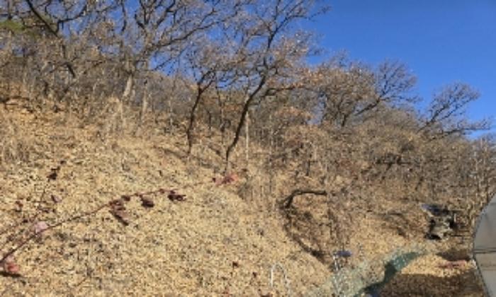 충청북도 충주시 호암동 산15-3 임야 경매 사진 38