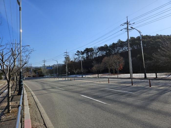 충청북도 충주시 대소원면 본리 1113 대지 경매 사진 4