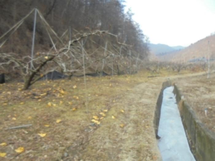충청북도 충주시 살미면 설운리 388-1 전 경매 사진 19