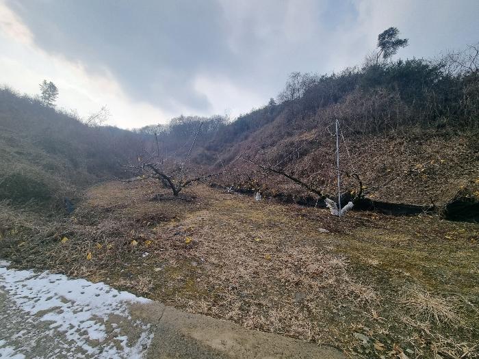 충청북도 충주시 살미면 설운리 388-1 전 경매 사진 4