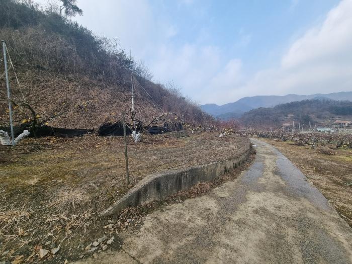 충청북도 충주시 살미면 설운리 388-1 전 경매 사진 8
