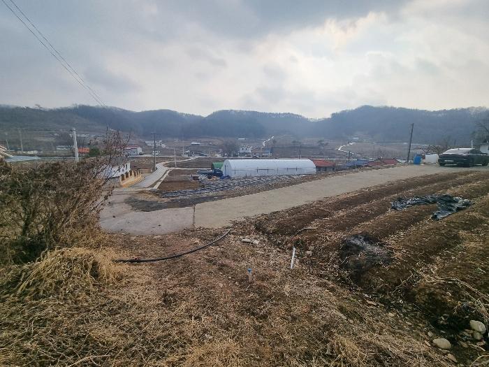 충청북도 충주시 살미면 설운리 388-1 전 경매 사진 9