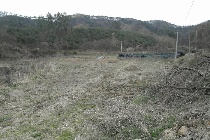 충청남도 논산시 벌곡면 조동리 78 전 경매 사진 1