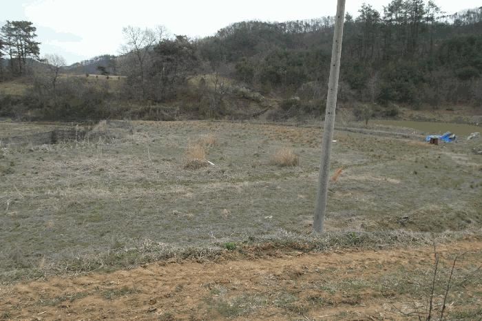 충청남도 논산시 벌곡면 조동리 89 답 경매 사진 2