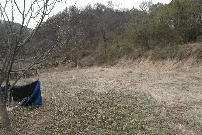 충청남도 논산시 벌곡면 조동리 89 답 경매 사진 3