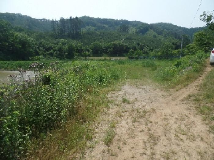 충청남도 논산시 벌곡면 조동리 89 답 경매 사진 5