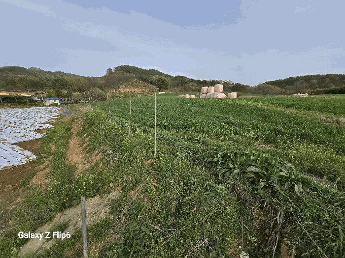 충청남도 논산시 양촌면 인천리 11 전 경매 사진 2