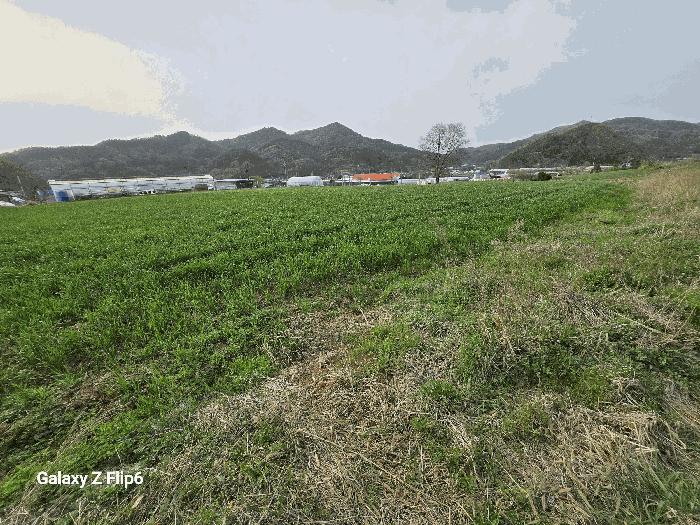 충청남도 논산시 양촌면 인천리 11 전 경매 사진 3