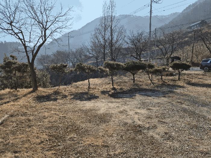 충청북도 충주시 종민동 325-1 근린주택 경매 사진 16