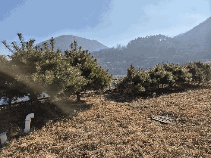 충청북도 충주시 종민동 325-1 근린주택 경매 사진 24