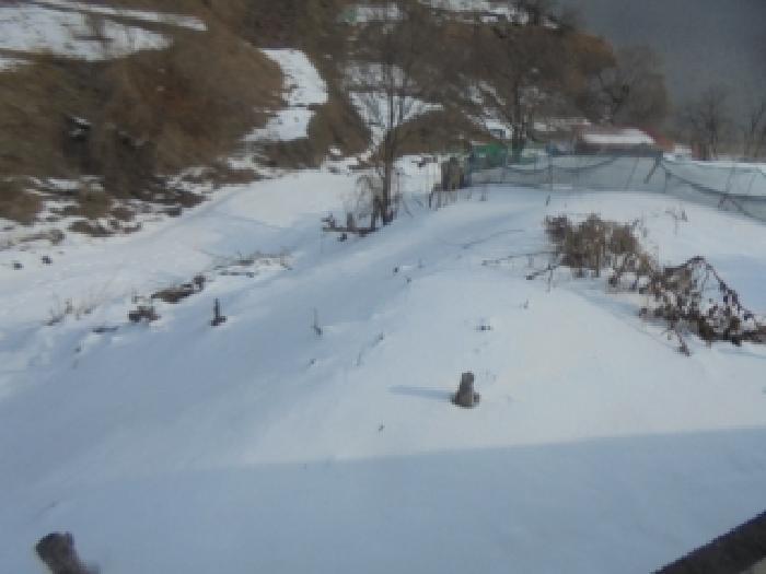 충청북도 충주시 종민동 325-1 근린주택 경매 사진 27