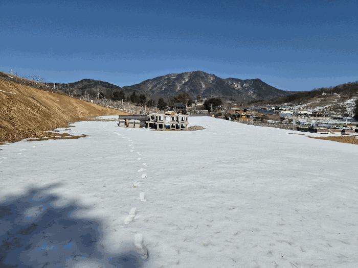 충청북도 음성군 음성읍 읍내리 120-3 전 경매 사진 4