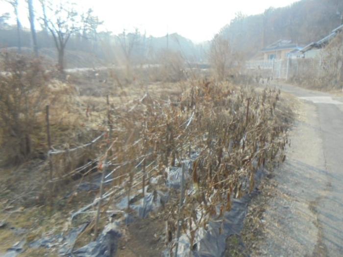 충청북도 충주시 신니면 대화리 172-1 답 경매 사진 10