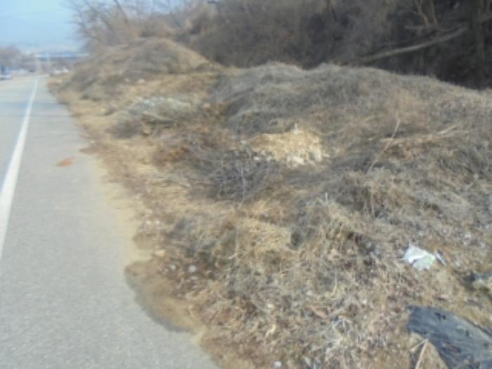 충청북도 충주시 신니면 대화리 172-1 답 경매 사진 12
