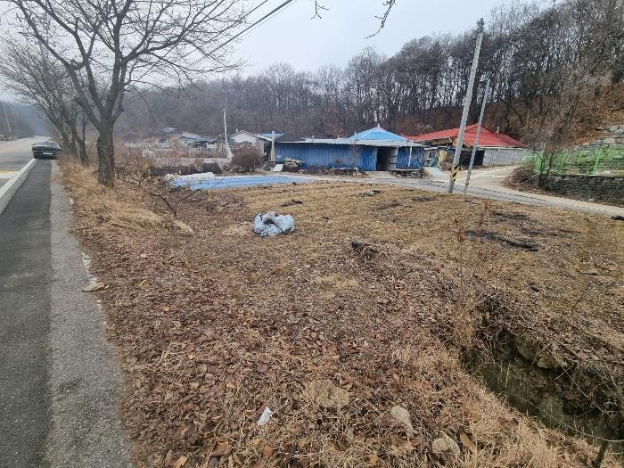 충청북도 충주시 신니면 대화리 172-1 답 경매 사진 3