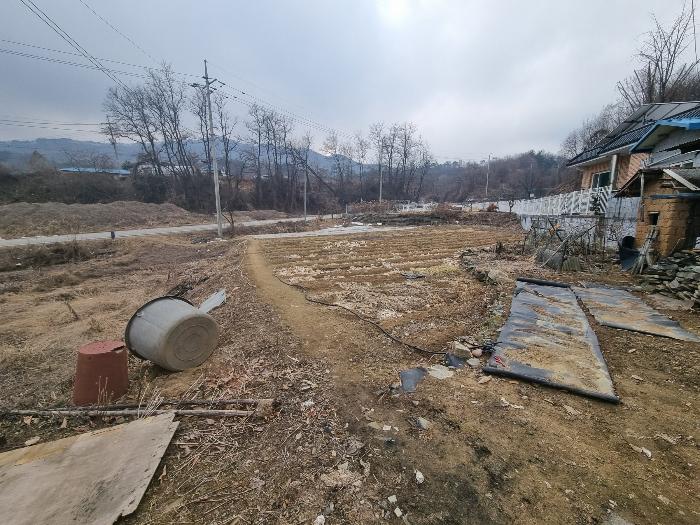충청북도 충주시 신니면 대화리 172-1 답 경매 사진 7