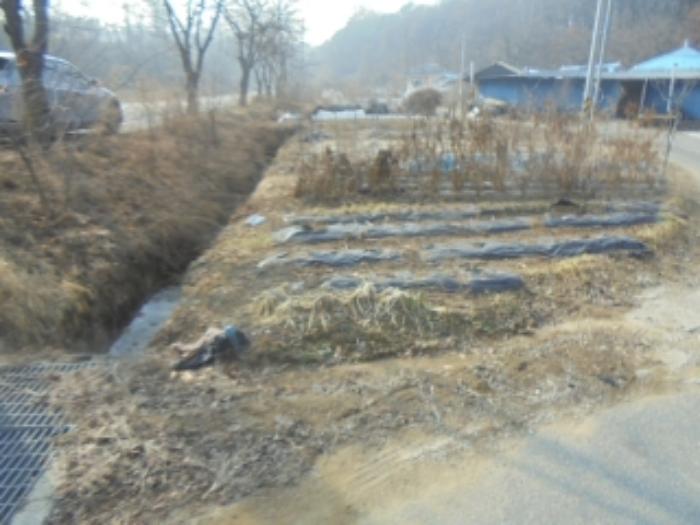 충청북도 충주시 신니면 대화리 172-1 답 경매 사진 9