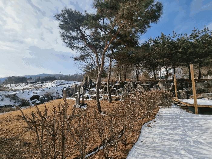 충청북도 충주시 앙성면 영죽리 1-3 주택 경매 사진 5