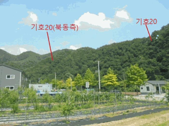 충청북도 제천시 한수면 덕곡리 산39-1 임야 경매 사진 14