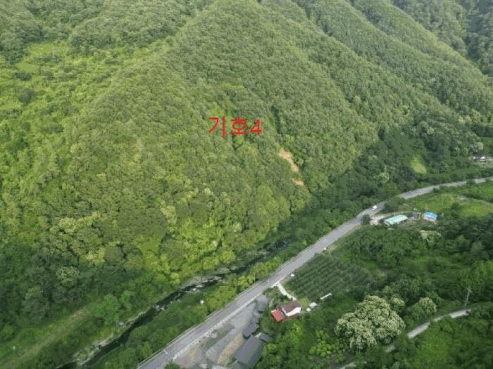 충청북도 제천시 한수면 덕곡리 산39-1 임야 경매 사진 19