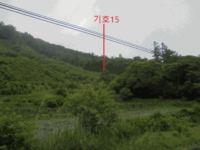 충청북도 제천시 한수면 덕곡리 산39-1 임야 경매 사진 27