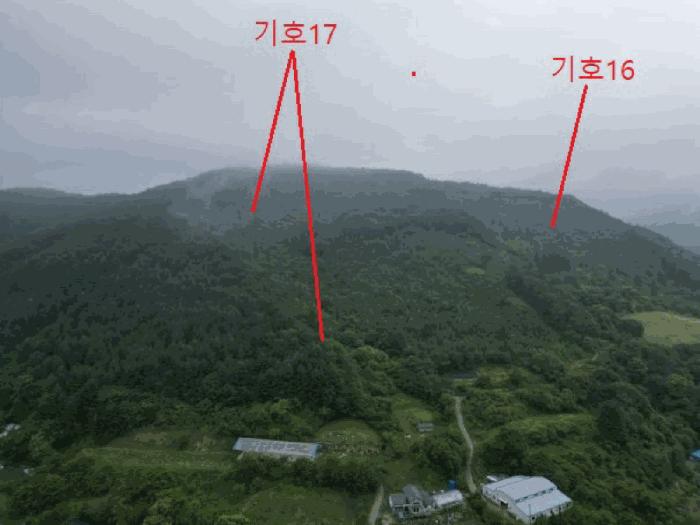 충청북도 제천시 한수면 덕곡리 산39-1 임야 경매 사진 8