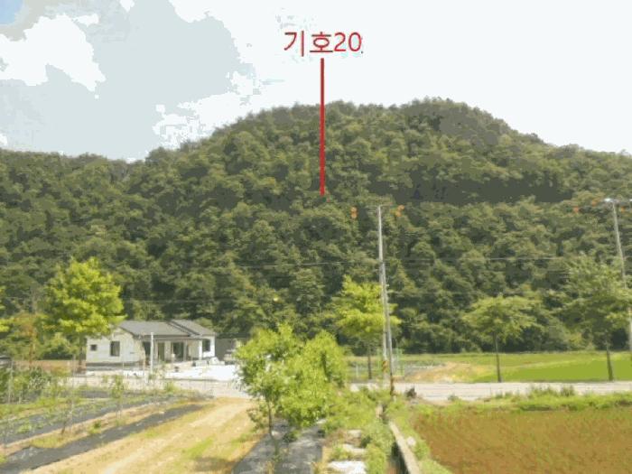 충청북도 제천시 덕산면 신현리 산65-1 임야 경매 사진 17