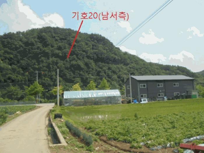 충청북도 제천시 덕산면 신현리 산65-1 임야 경매 사진 28