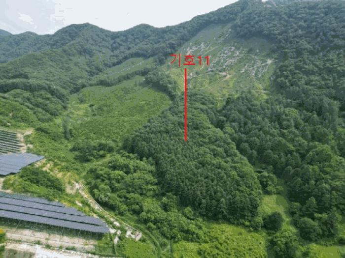 충청북도 제천시 덕산면 신현리 산65-1 임야 경매 사진 34