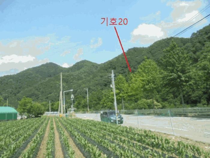 충청북도 제천시 덕산면 신현리 산65-1 임야 경매 사진 39