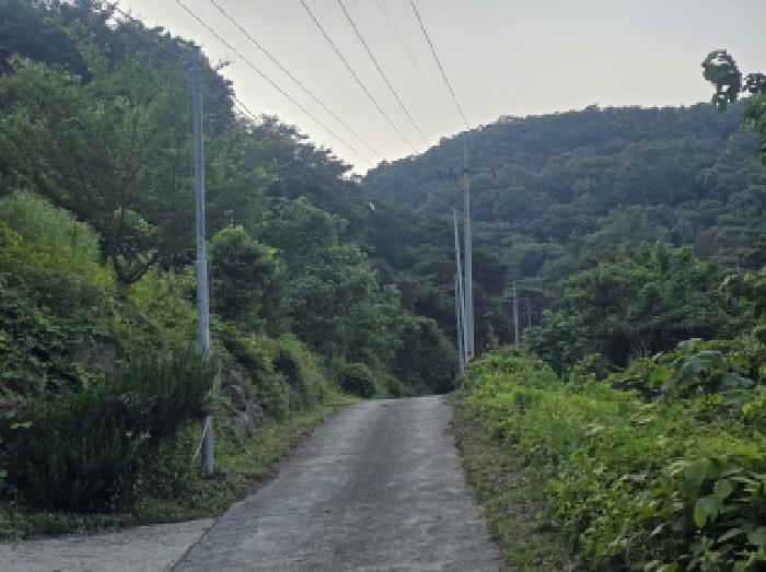 충청북도 제천시 덕산면 신현리 산65-1 임야 경매 사진 46