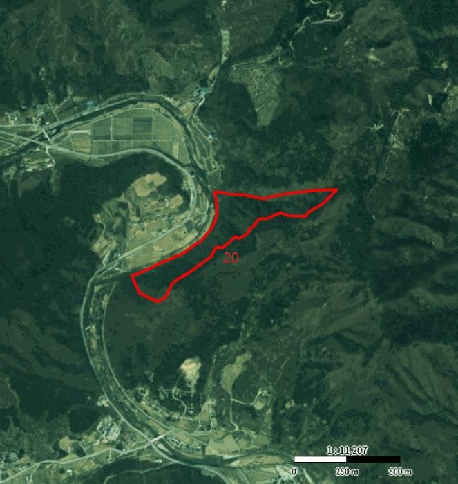 충청북도 제천시 덕산면 신현리 산65-1 임야 경매 사진 81