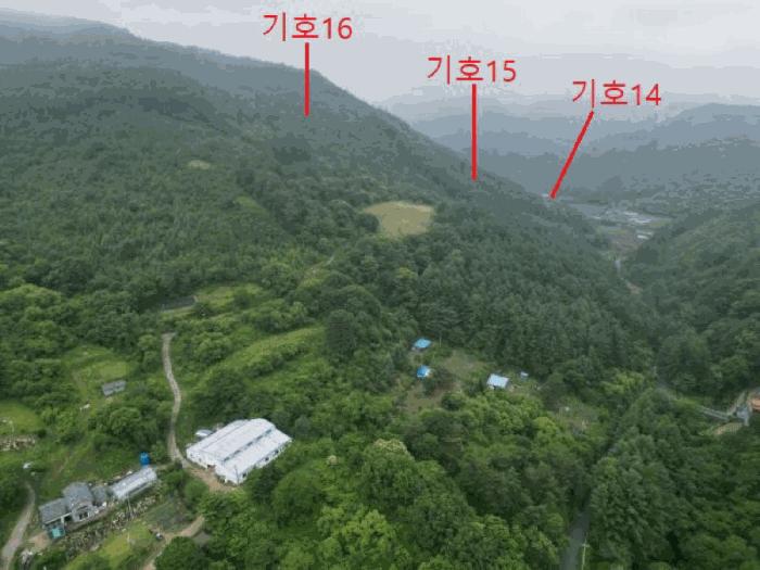 충청북도 제천시 덕산면 신현리 산52-1 임야 경매 사진 11