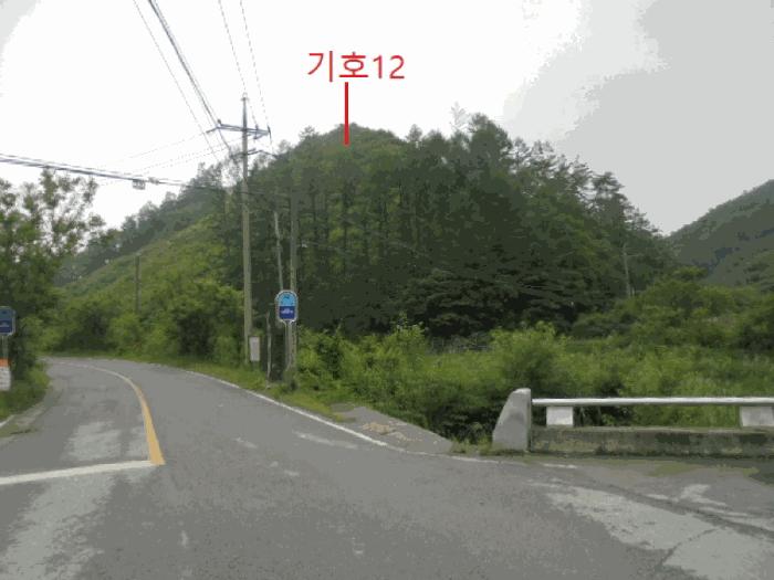 충청북도 제천시 덕산면 신현리 산52-1 임야 경매 사진 20