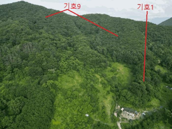 충청북도 제천시 덕산면 신현리 산52-1 임야 경매 사진 21