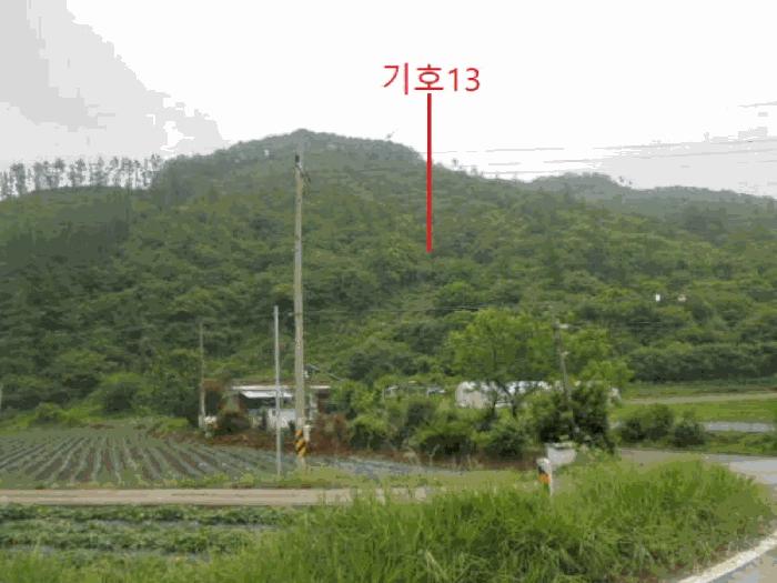 충청북도 제천시 덕산면 신현리 산52-1 임야 경매 사진 30