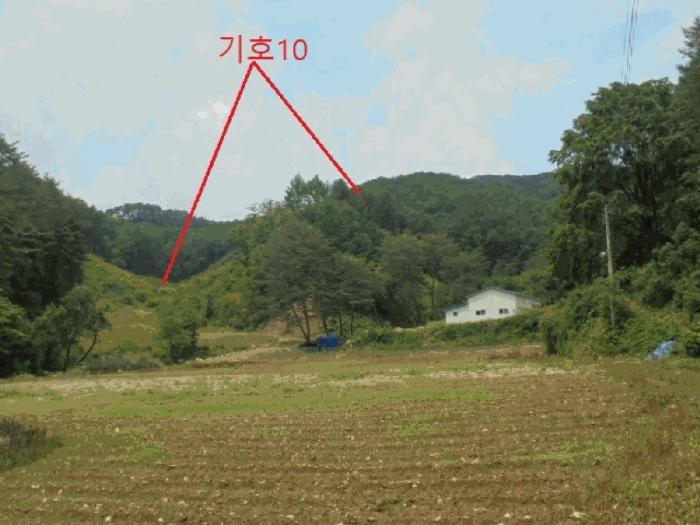 충청북도 제천시 덕산면 신현리 산52-1 임야 경매 사진 33
