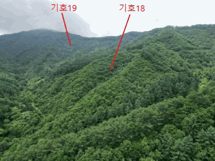 충청북도 제천시 덕산면 신현리 산52-1 임야 경매 사진 4
