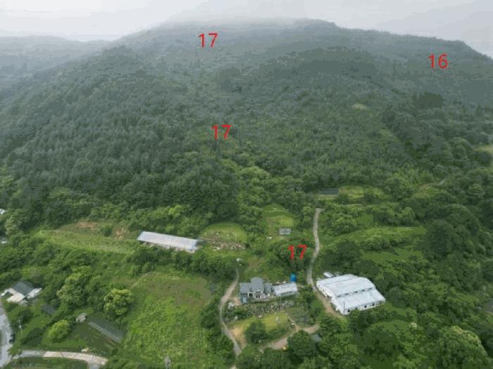 충청북도 제천시 덕산면 신현리 산52-1 임야 경매 사진 40