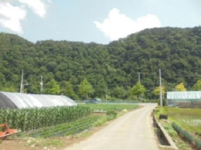 충청북도 제천시 덕산면 신현리 산52-1 임야 경매 사진 55