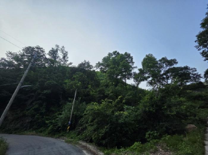 충청북도 제천시 덕산면 신현리 산52-1 임야 경매 사진 61