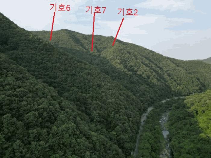 충청북도 제천시 덕산면 신현리 산52-1 임야 경매 사진 7